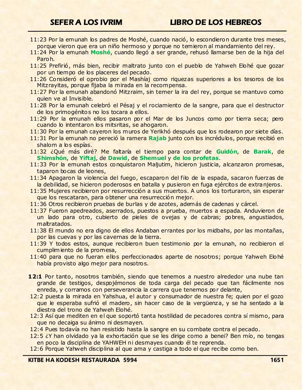 Vista previa del archivo PDF ivrim.pdf