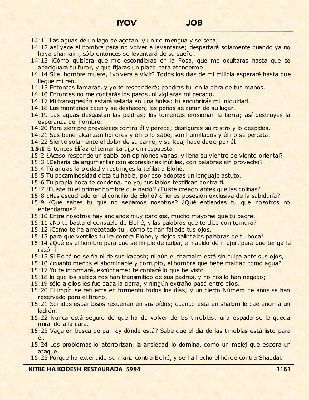 Vista previa del archivo PDF iyov.pdf