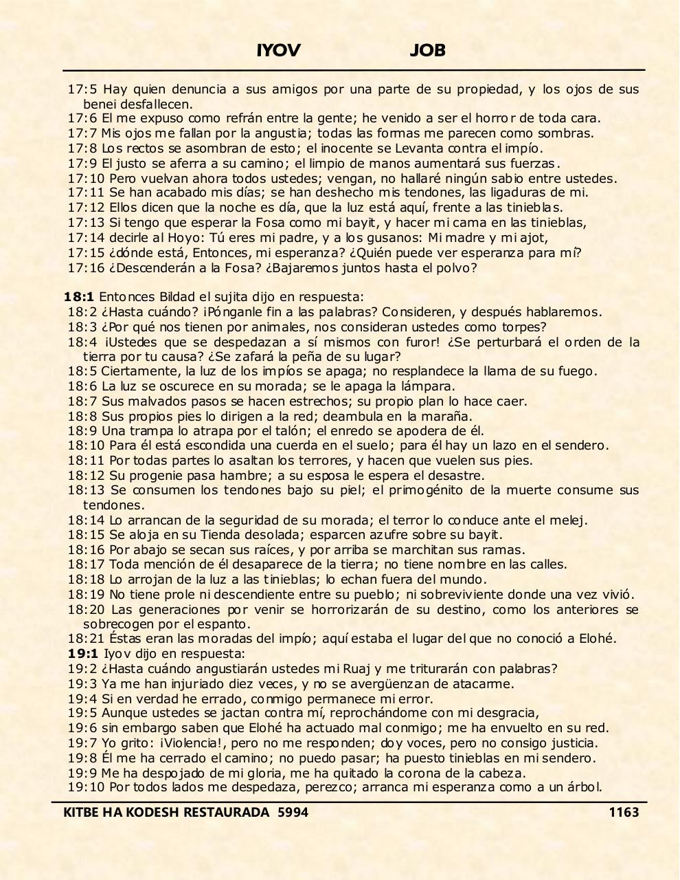 Vista previa del archivo PDF iyov.pdf