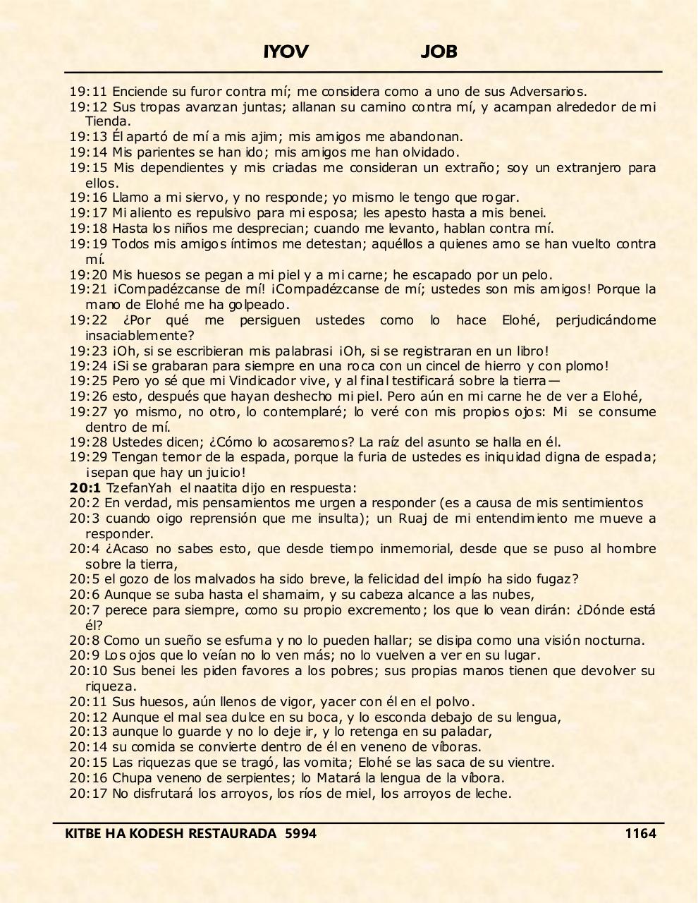 Vista previa del archivo PDF iyov.pdf