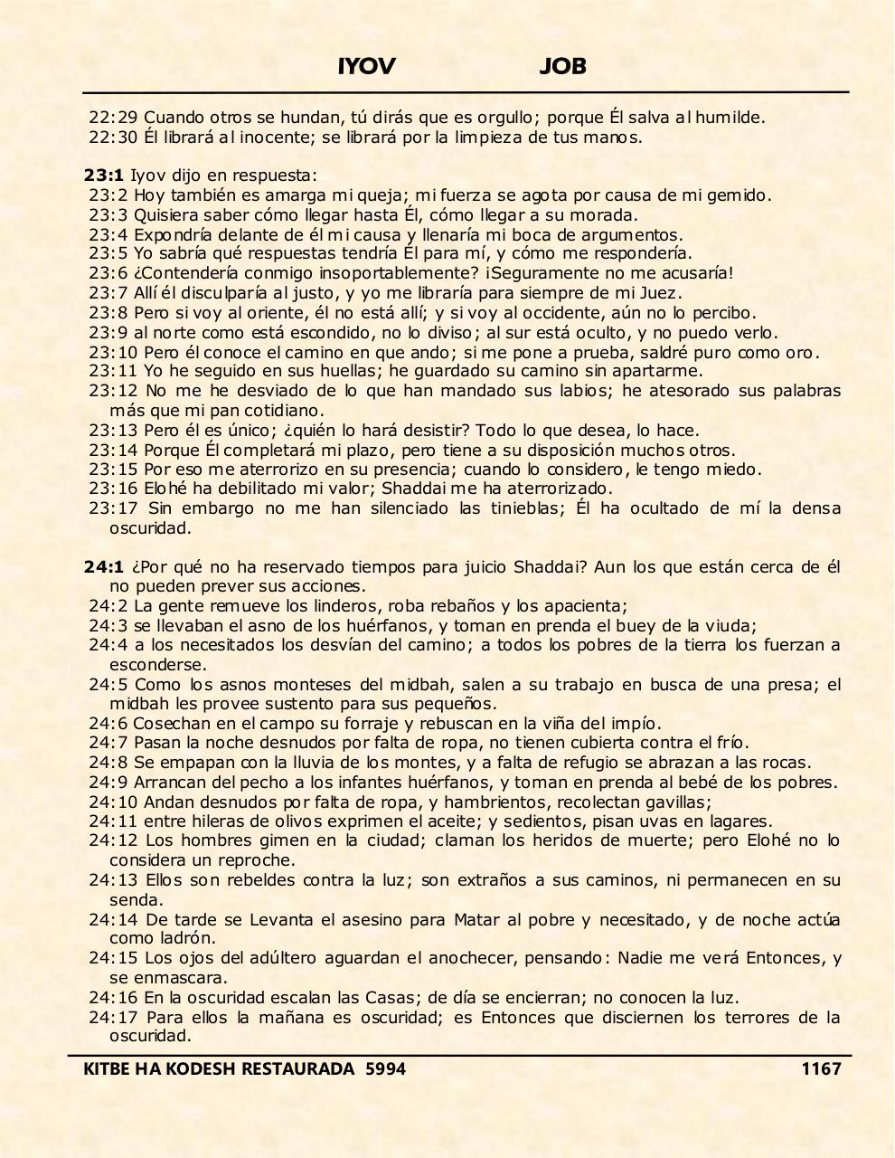 Vista previa del archivo PDF iyov.pdf