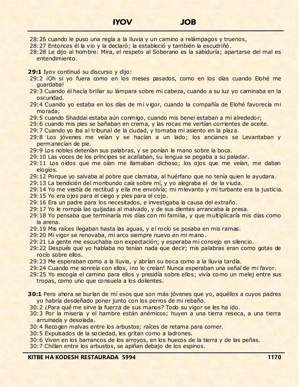 Vista previa del archivo PDF iyov.pdf