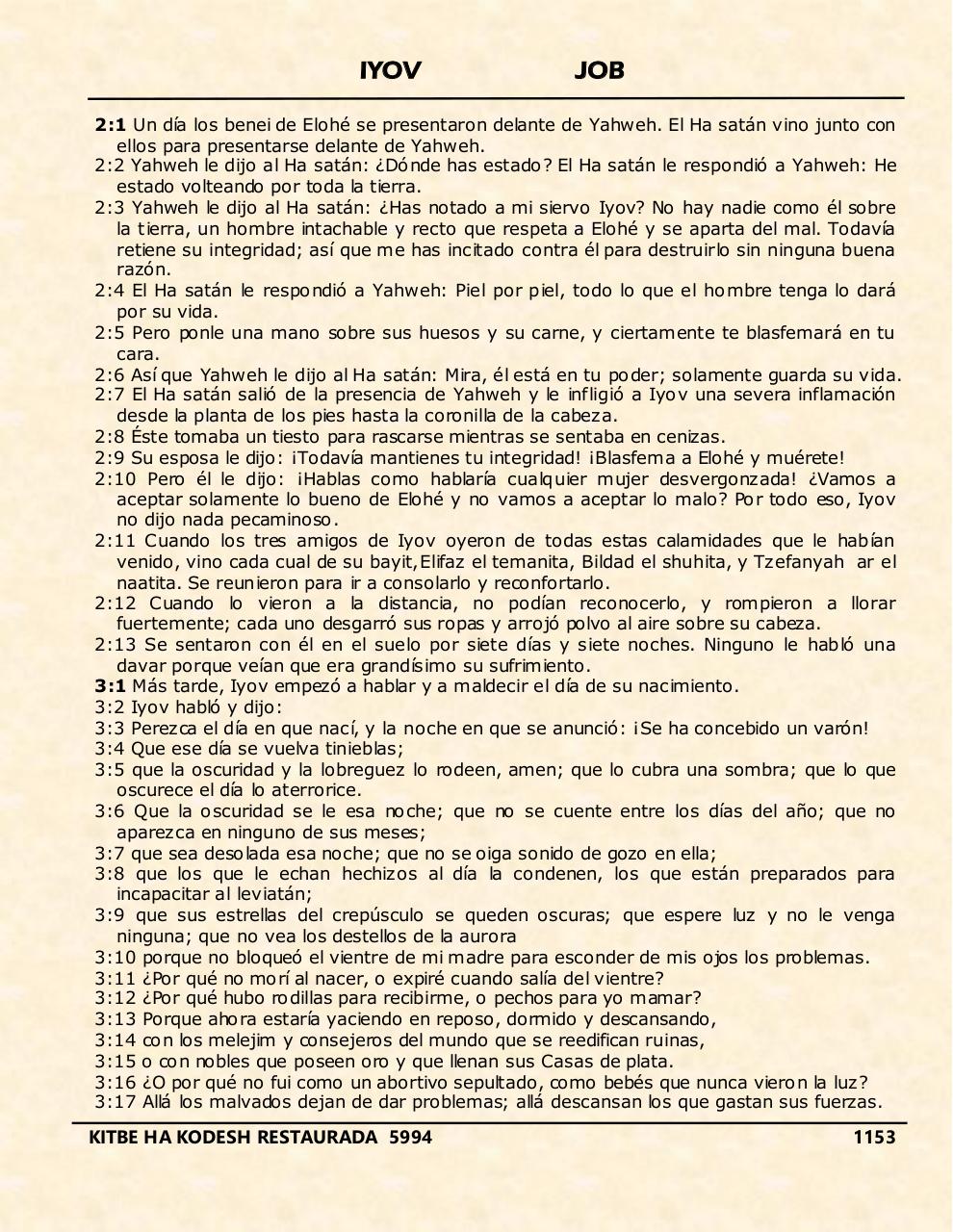 Vista previa del archivo PDF iyov.pdf