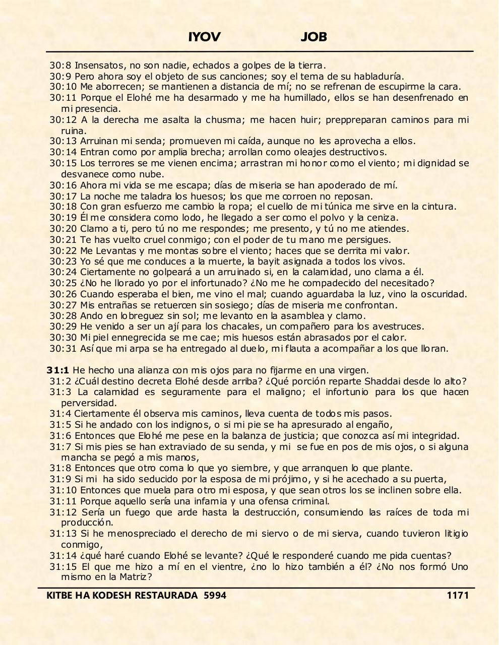 Vista previa del archivo PDF iyov.pdf