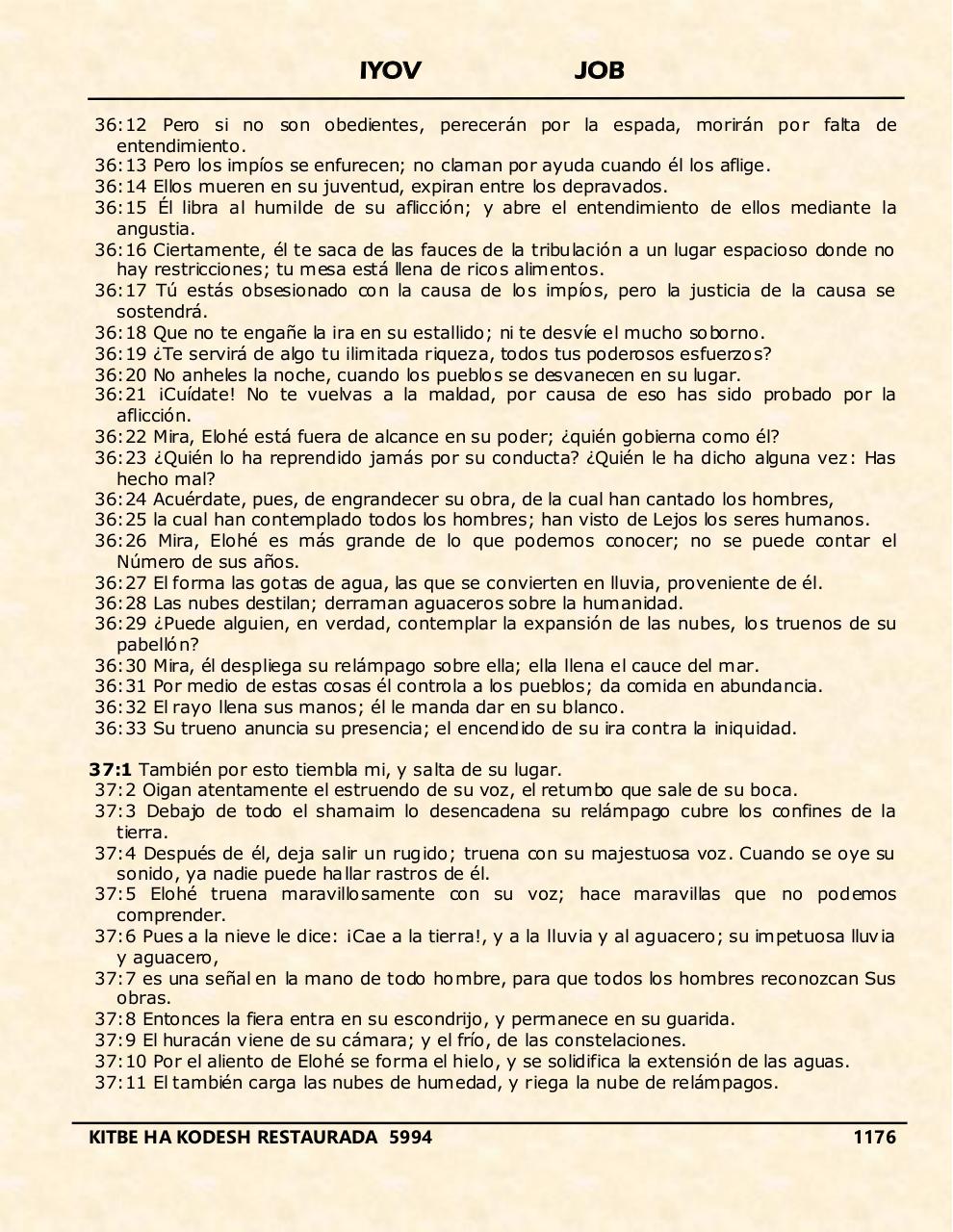 Vista previa del archivo PDF iyov.pdf