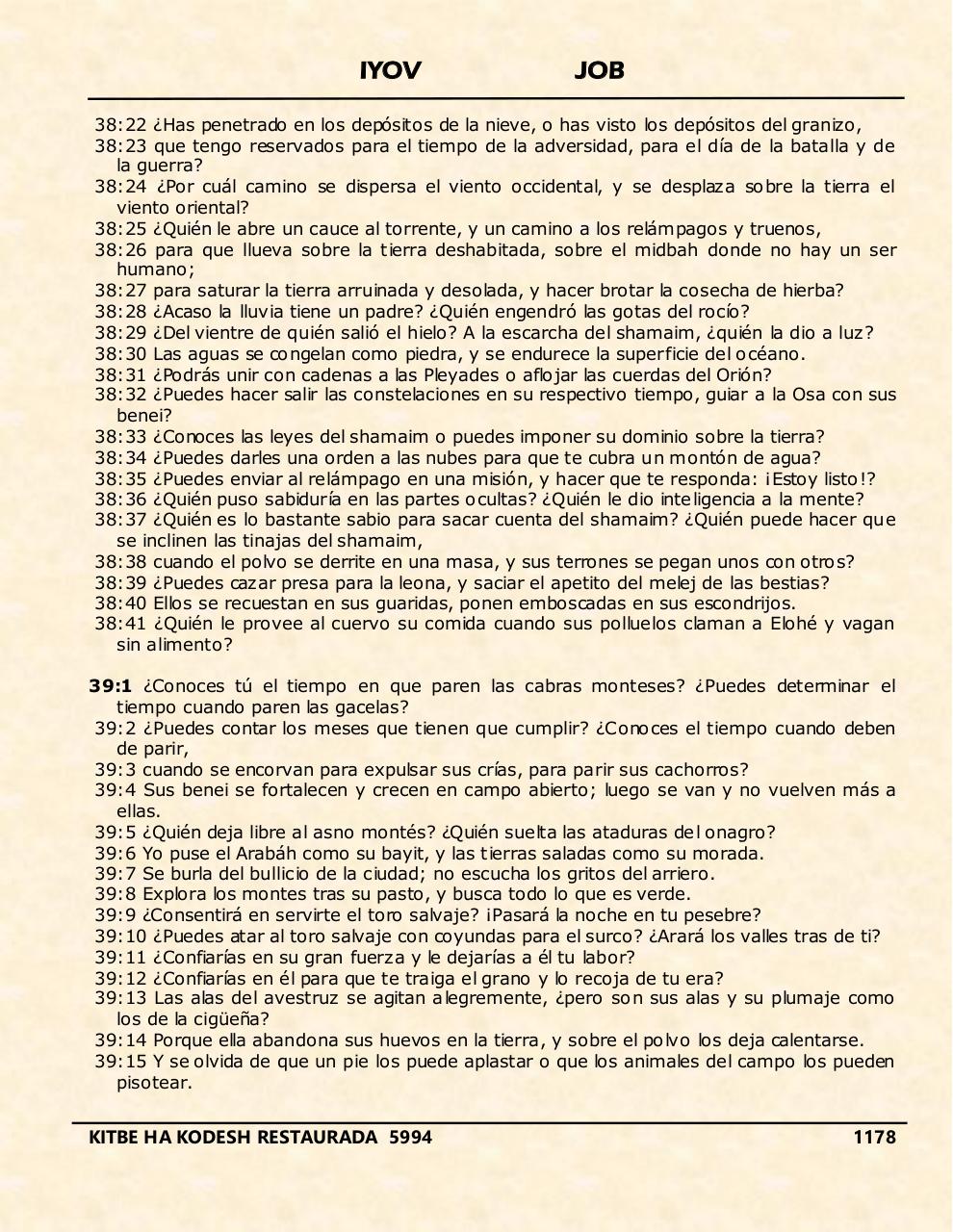 Vista previa del archivo PDF iyov.pdf