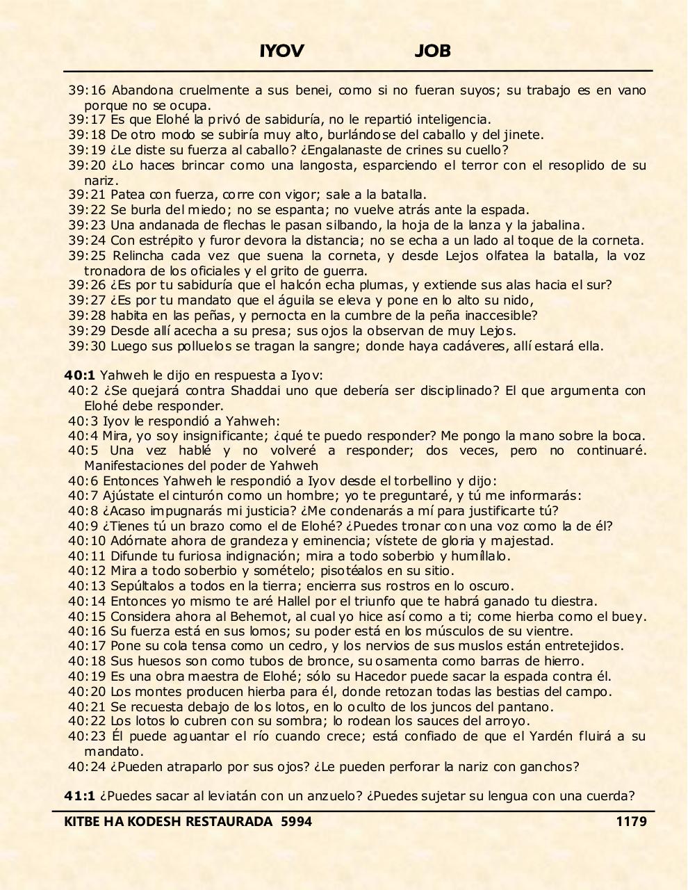 Vista previa del archivo PDF iyov.pdf