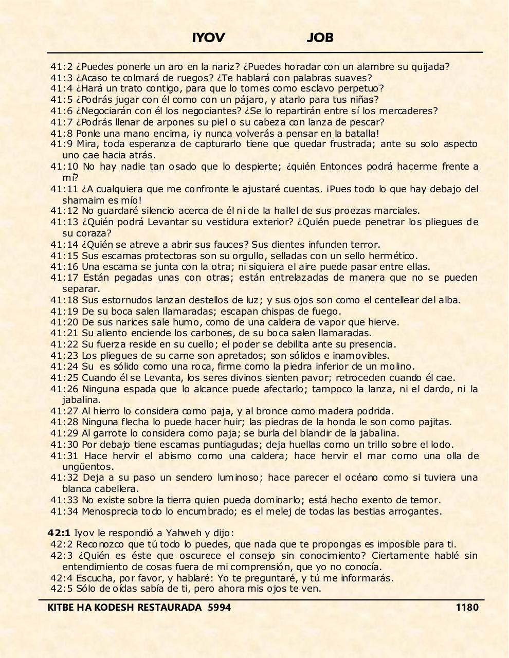 Vista previa del archivo PDF iyov.pdf