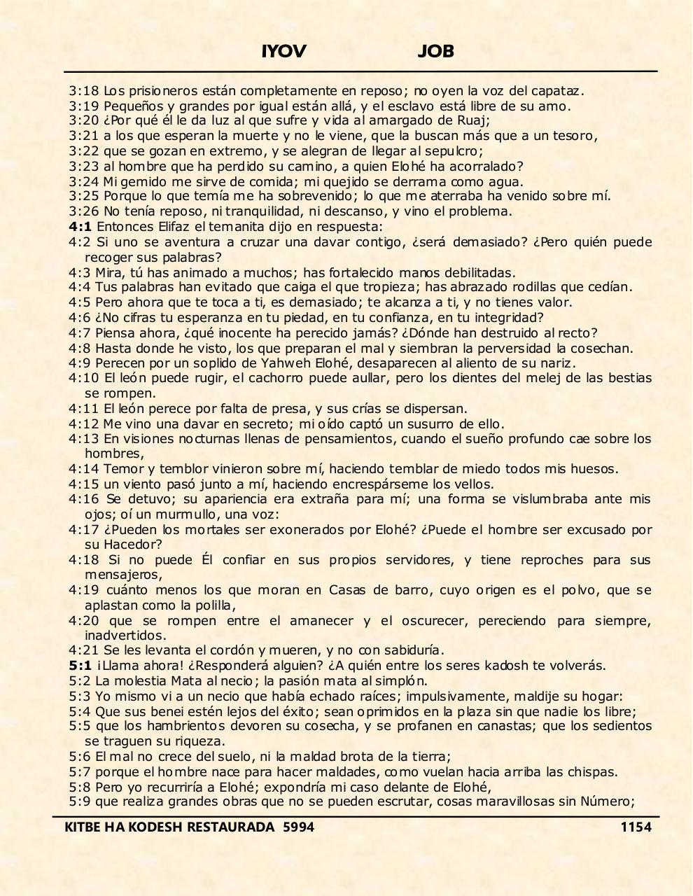 Vista previa del archivo PDF iyov.pdf