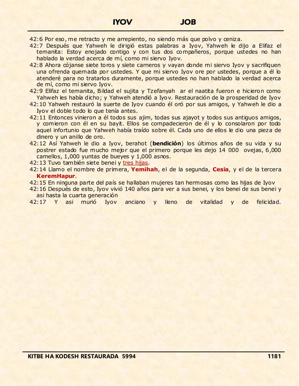 Vista previa del archivo PDF iyov.pdf