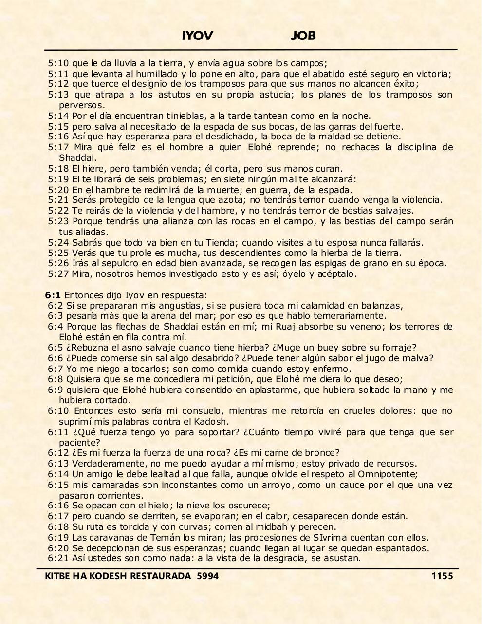 Vista previa del archivo PDF iyov.pdf