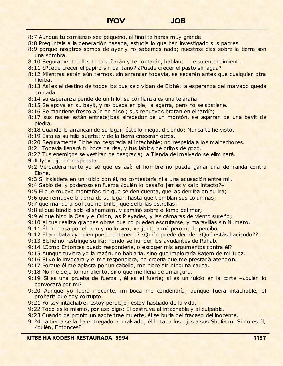 Vista previa del archivo PDF iyov.pdf