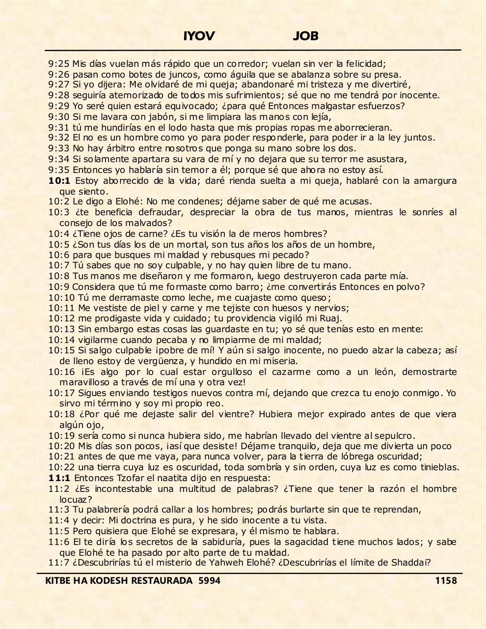 Vista previa del archivo PDF iyov.pdf