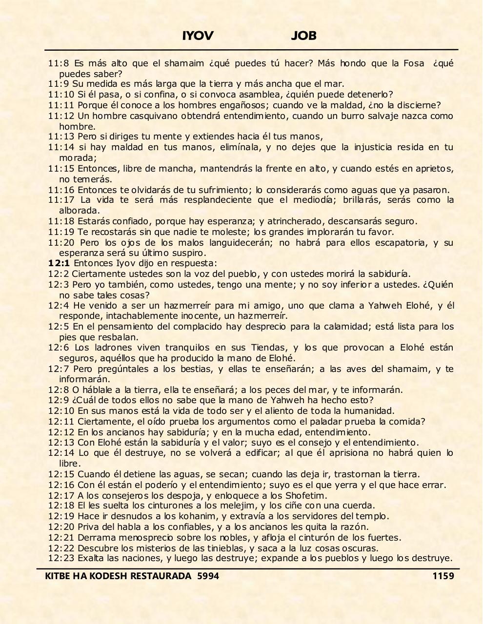 Vista previa del archivo PDF iyov.pdf