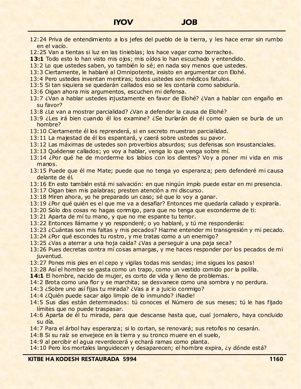 Vista previa del archivo PDF iyov.pdf