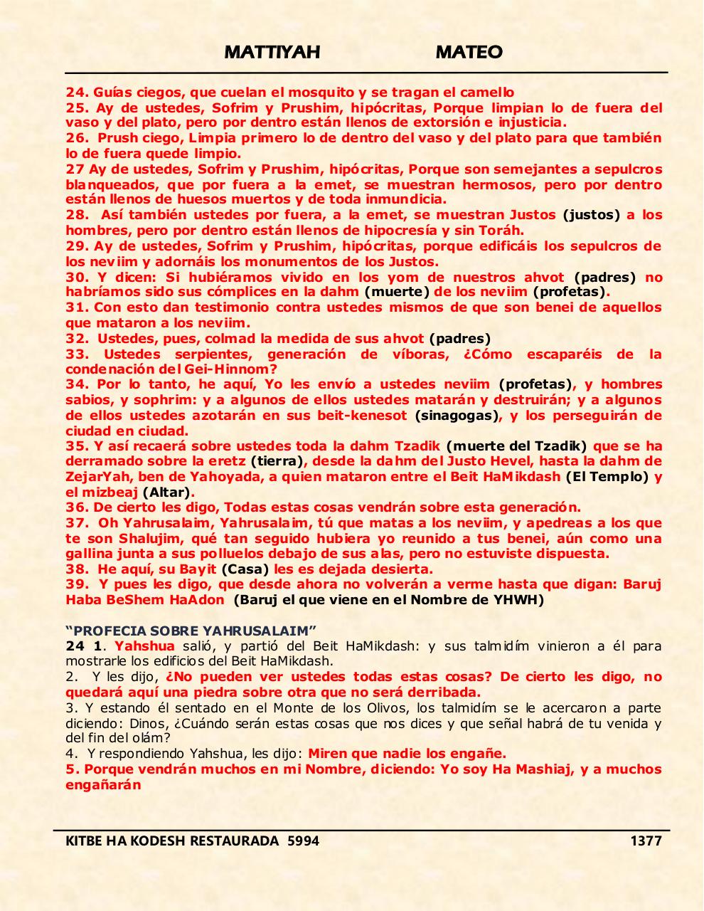 Vista previa del archivo PDF mattiyah.pdf