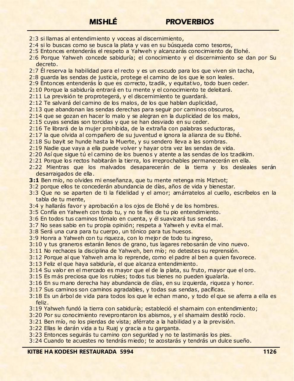 Vista previa del archivo PDF mishle.pdf