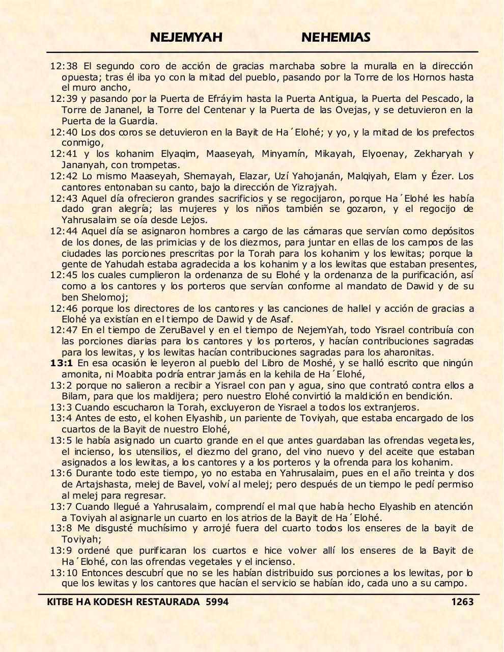 Vista previa del archivo PDF nejemyah.pdf