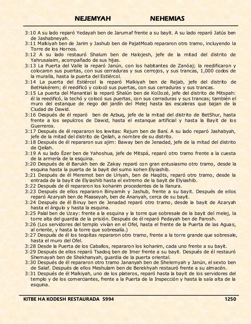 Vista previa del archivo PDF nejemyah.pdf