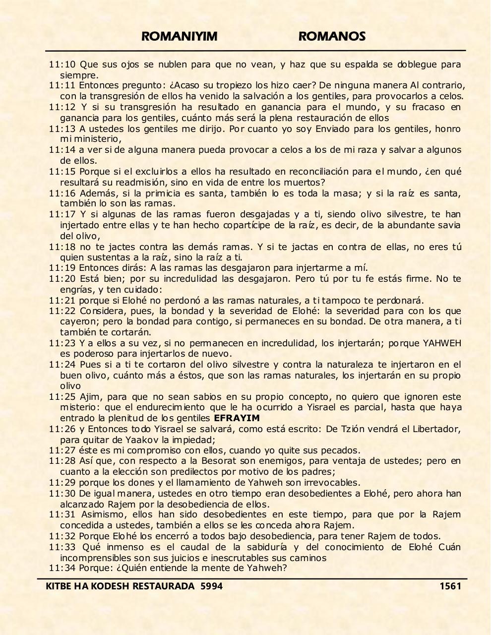 Vista previa del archivo PDF romaynim.pdf