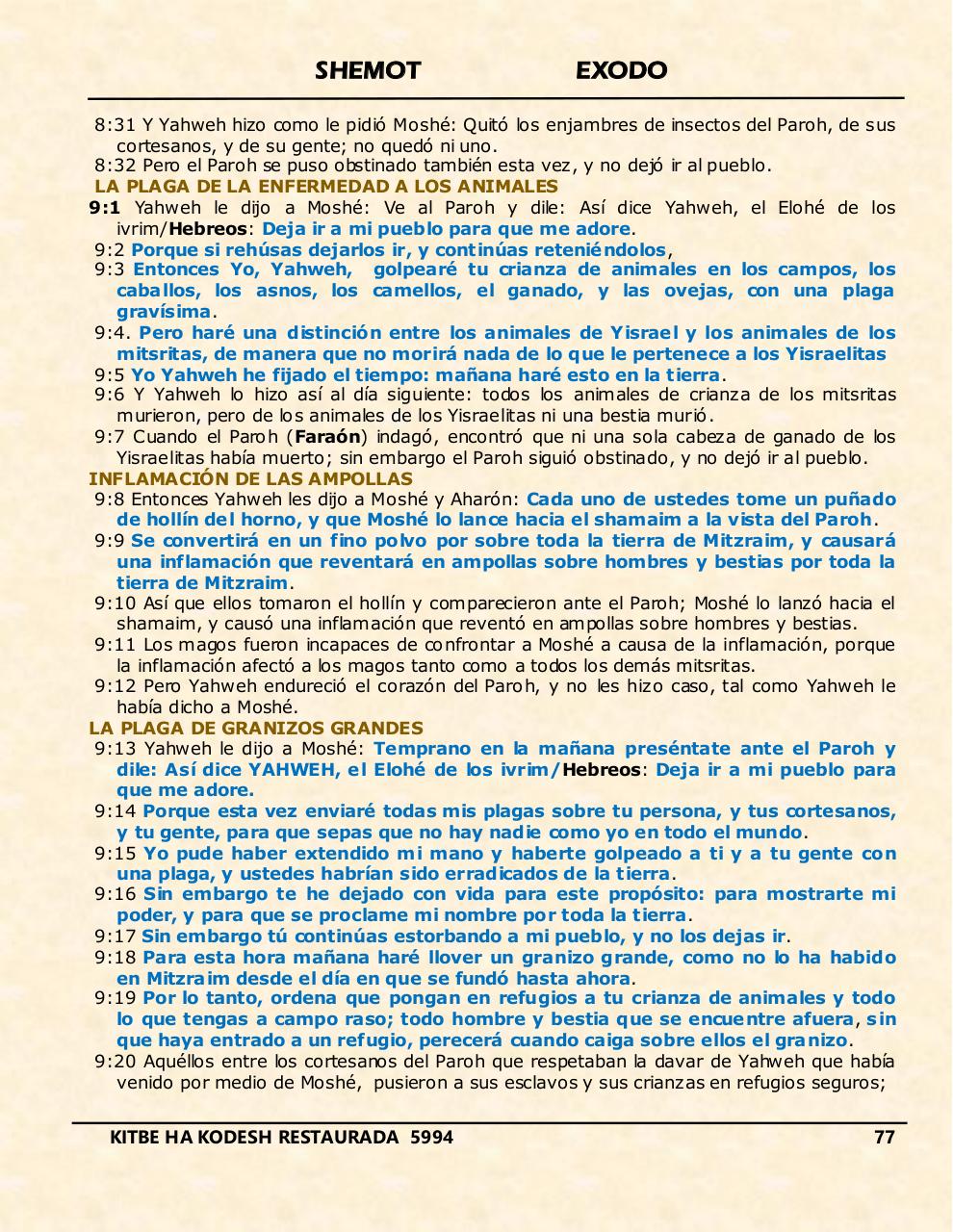 Vista previa del archivo PDF shemot.pdf