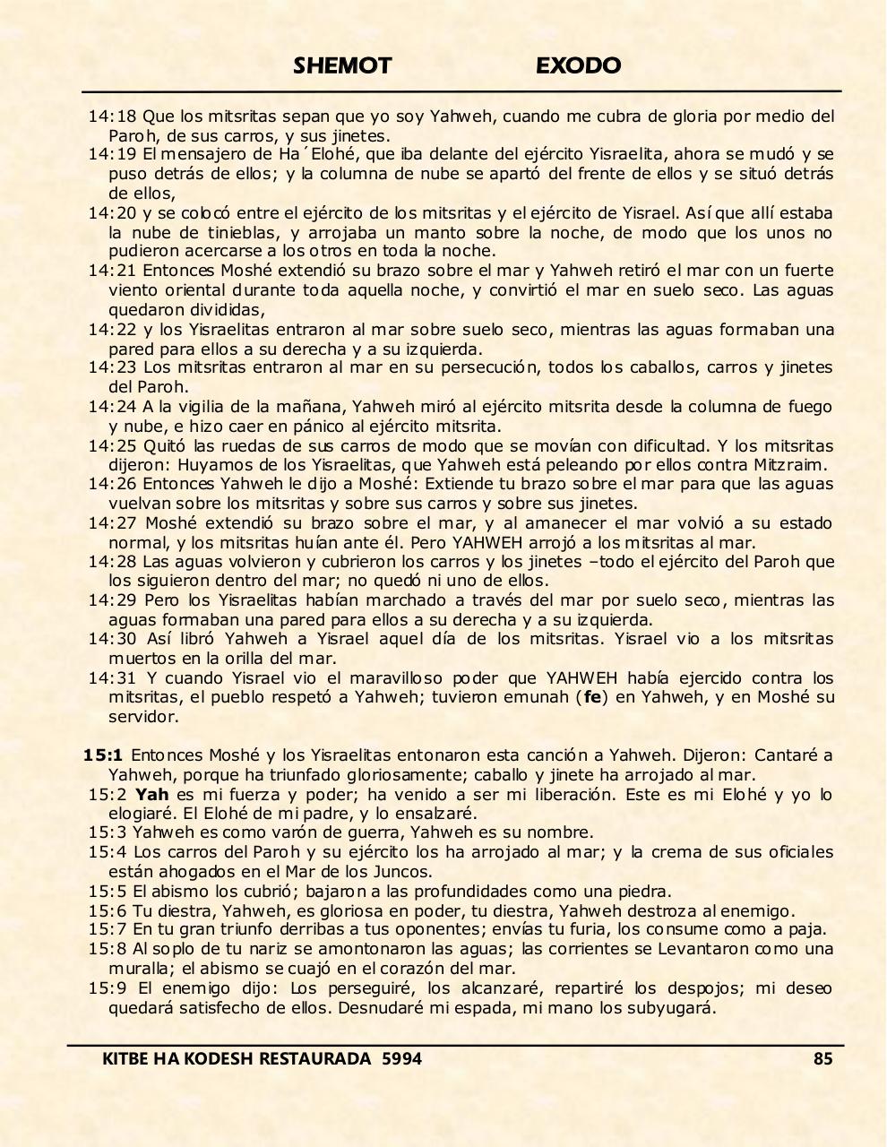 Vista previa del archivo PDF shemot.pdf