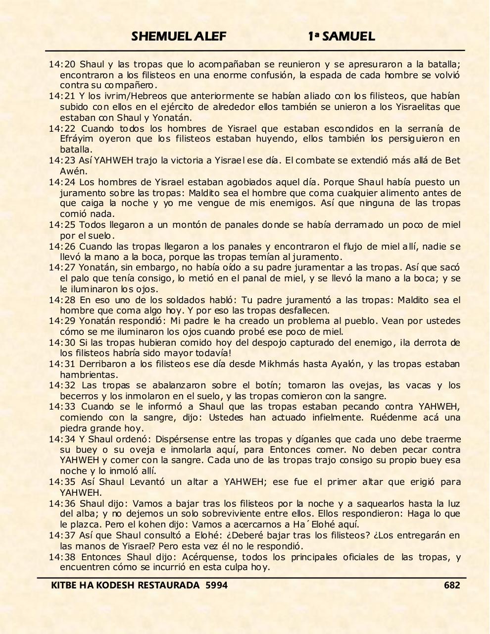 Vista previa del archivo PDF shemuel-alef.pdf