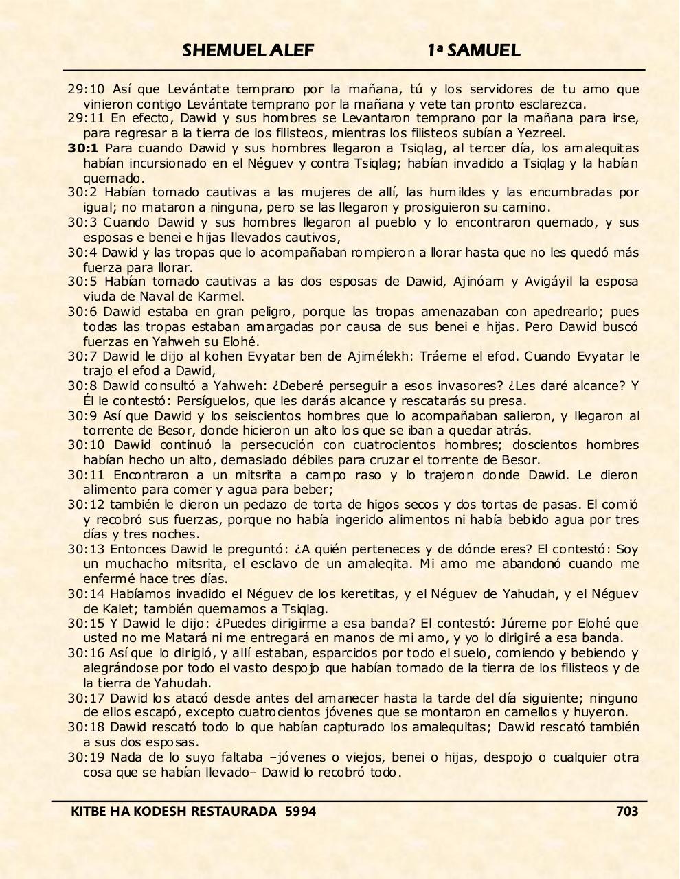 Vista previa del archivo PDF shemuel-alef.pdf