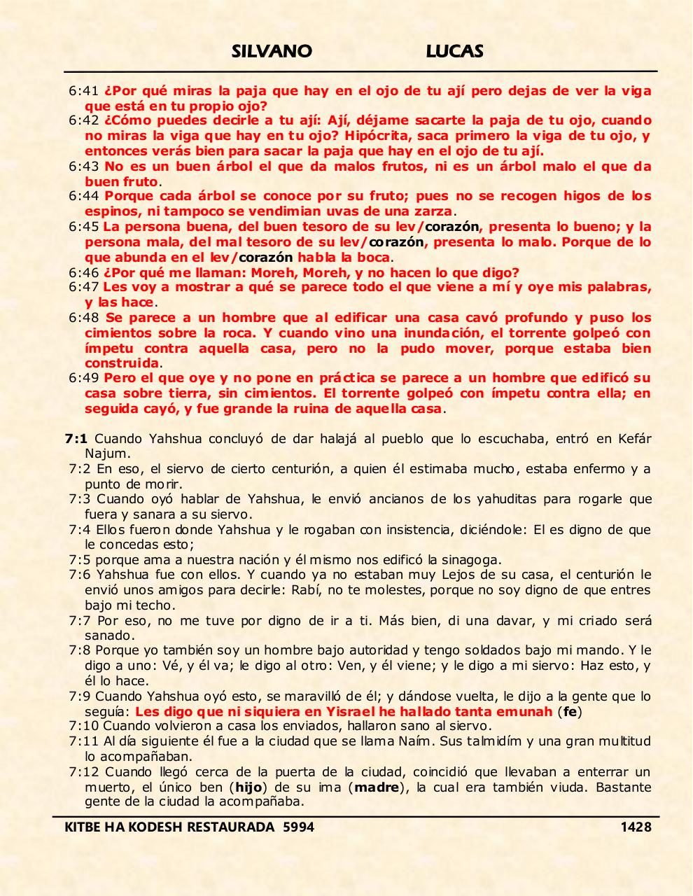 Vista previa del archivo PDF shilas.pdf