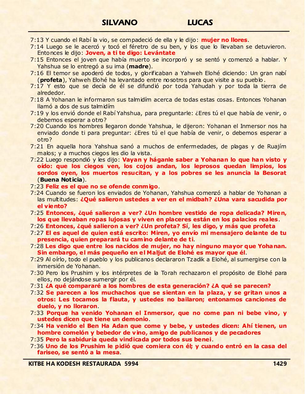 Vista previa del archivo PDF shilas.pdf
