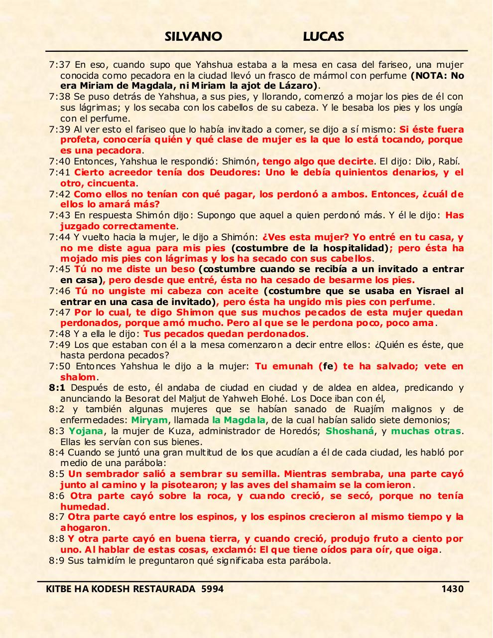 Vista previa del archivo PDF shilas.pdf