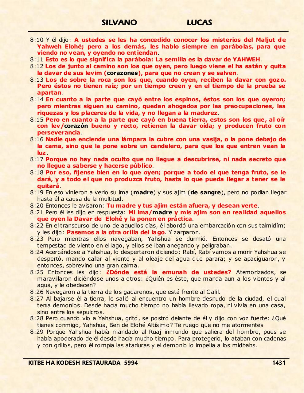 Vista previa del archivo PDF shilas.pdf