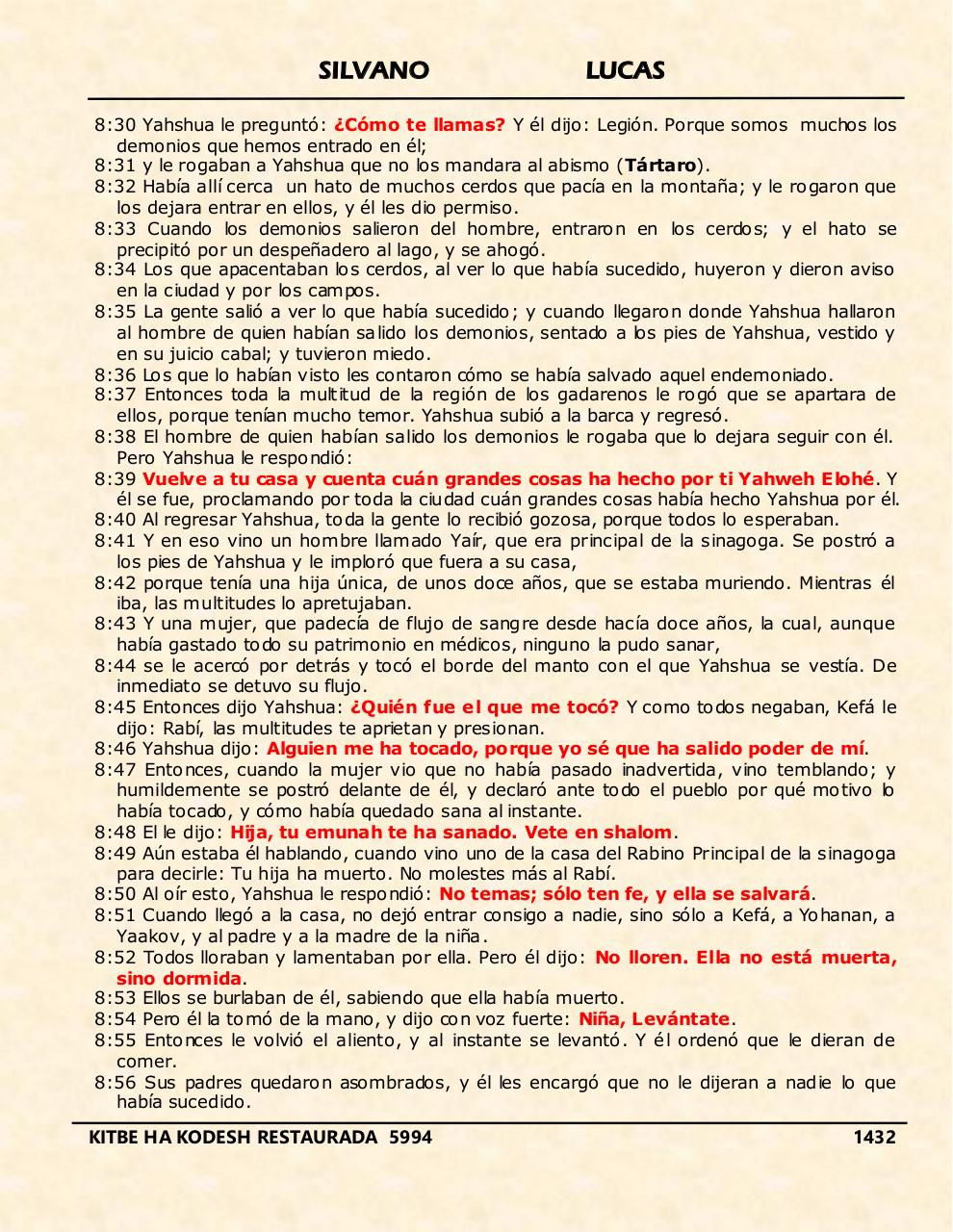 Vista previa del archivo PDF shilas.pdf