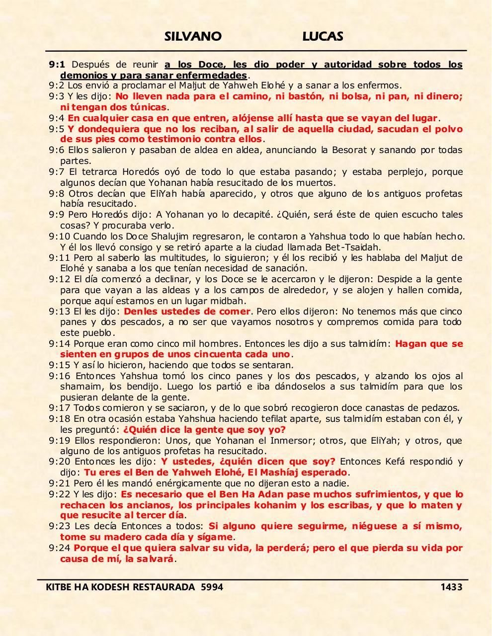 Vista previa del archivo PDF shilas.pdf