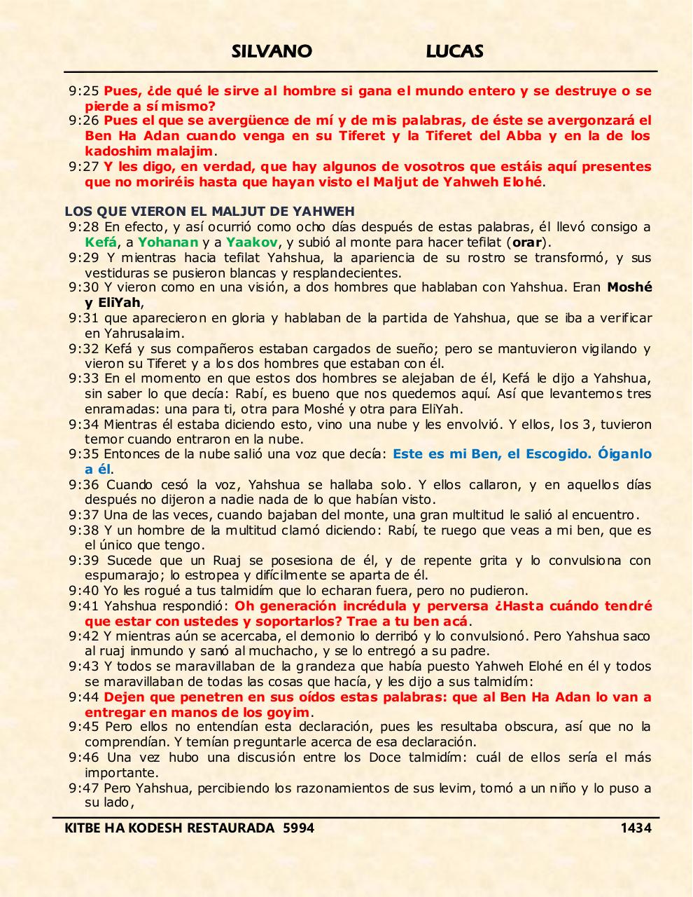 Vista previa del archivo PDF shilas.pdf