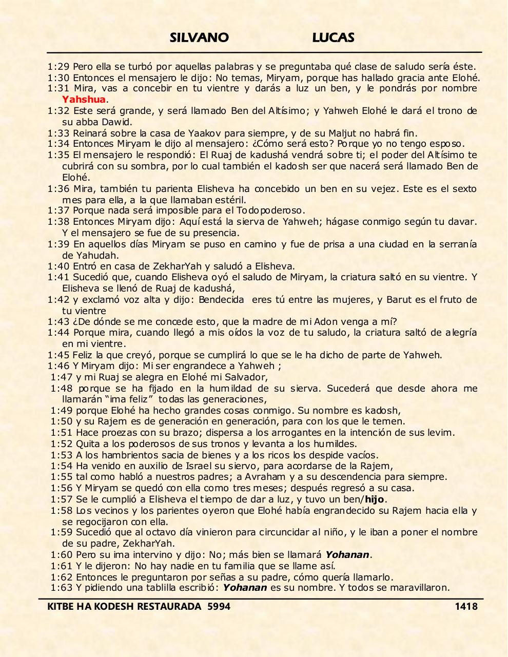 Vista previa del archivo PDF shilas.pdf