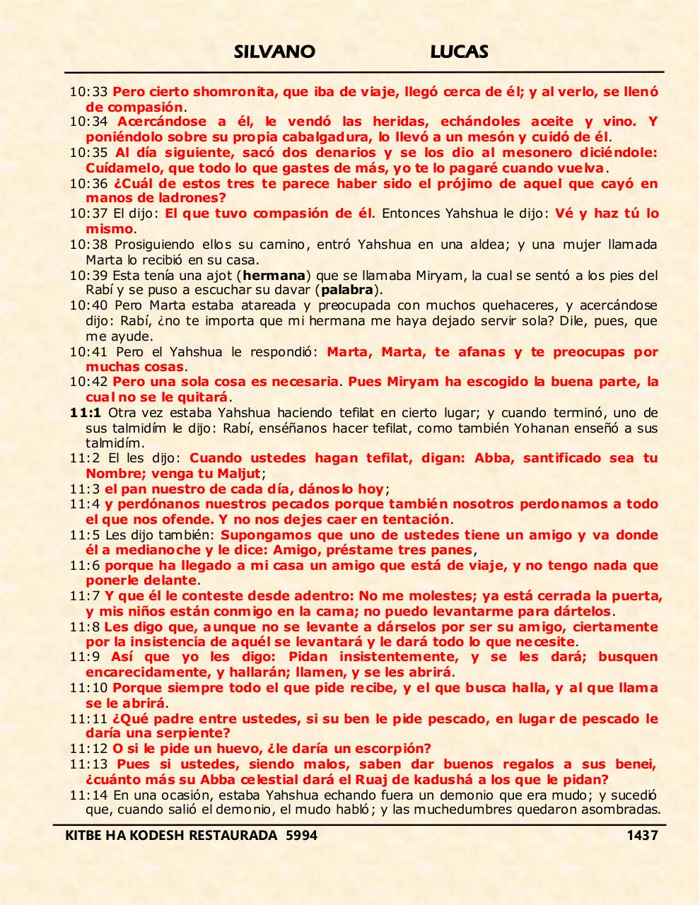 Vista previa del archivo PDF shilas.pdf
