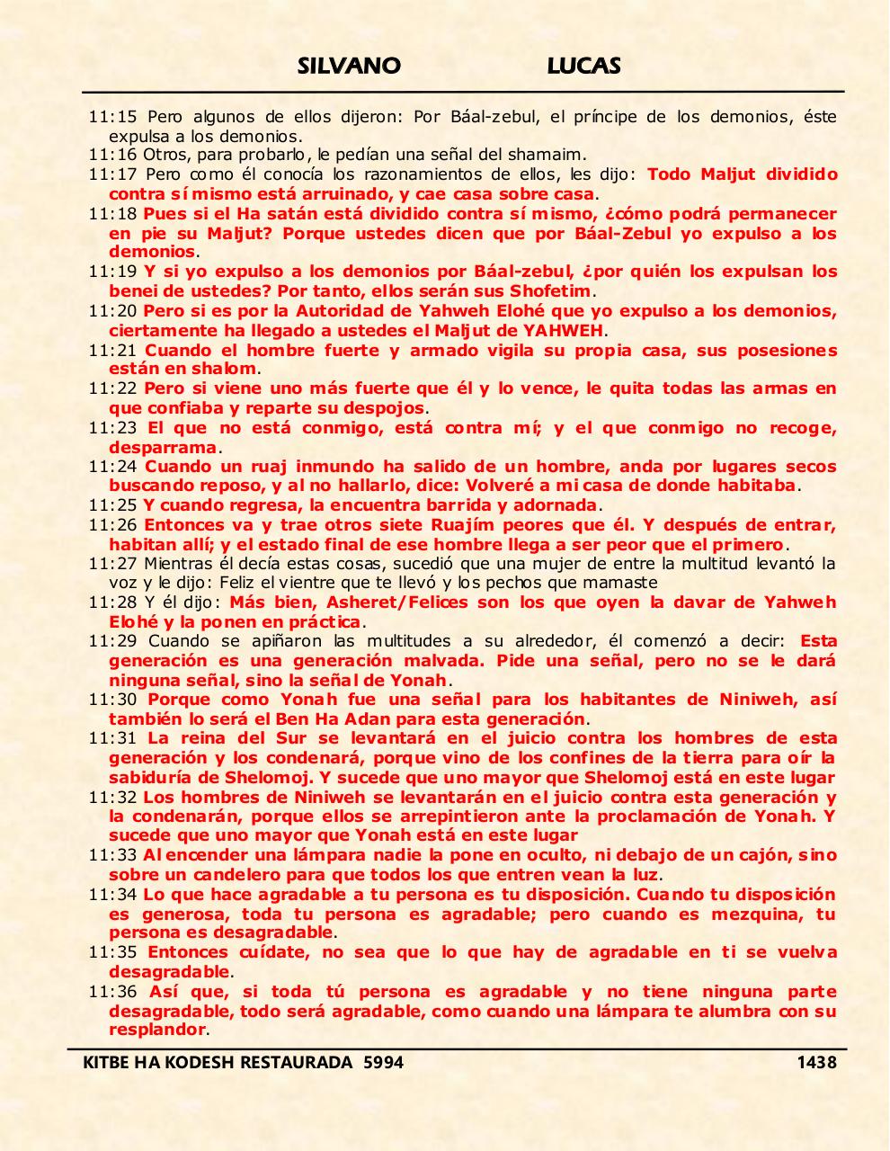 Vista previa del archivo PDF shilas.pdf