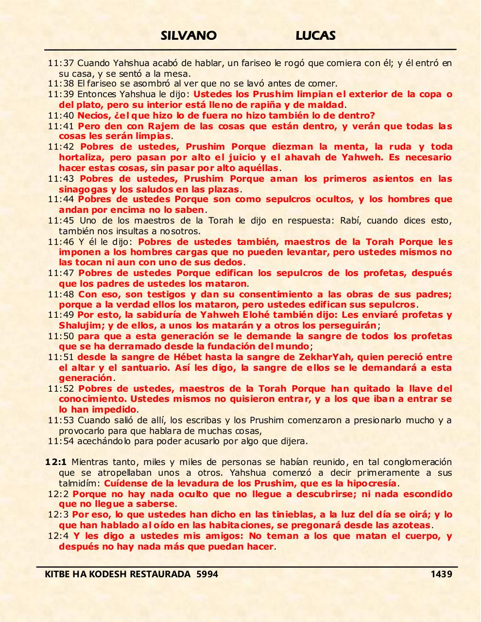 Vista previa del archivo PDF shilas.pdf