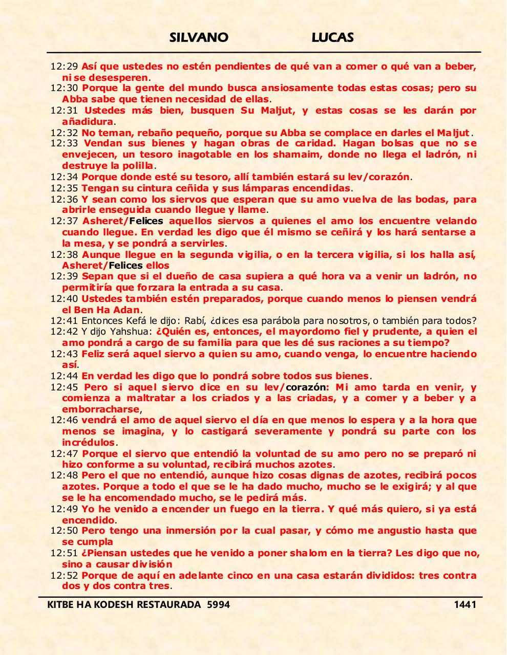 Vista previa del archivo PDF shilas.pdf