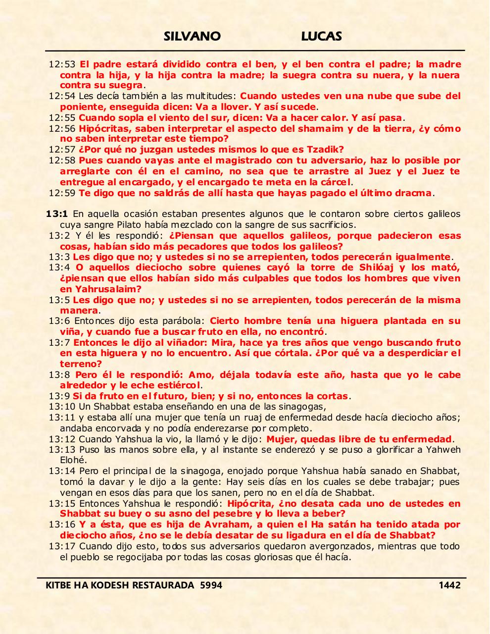 Vista previa del archivo PDF shilas.pdf