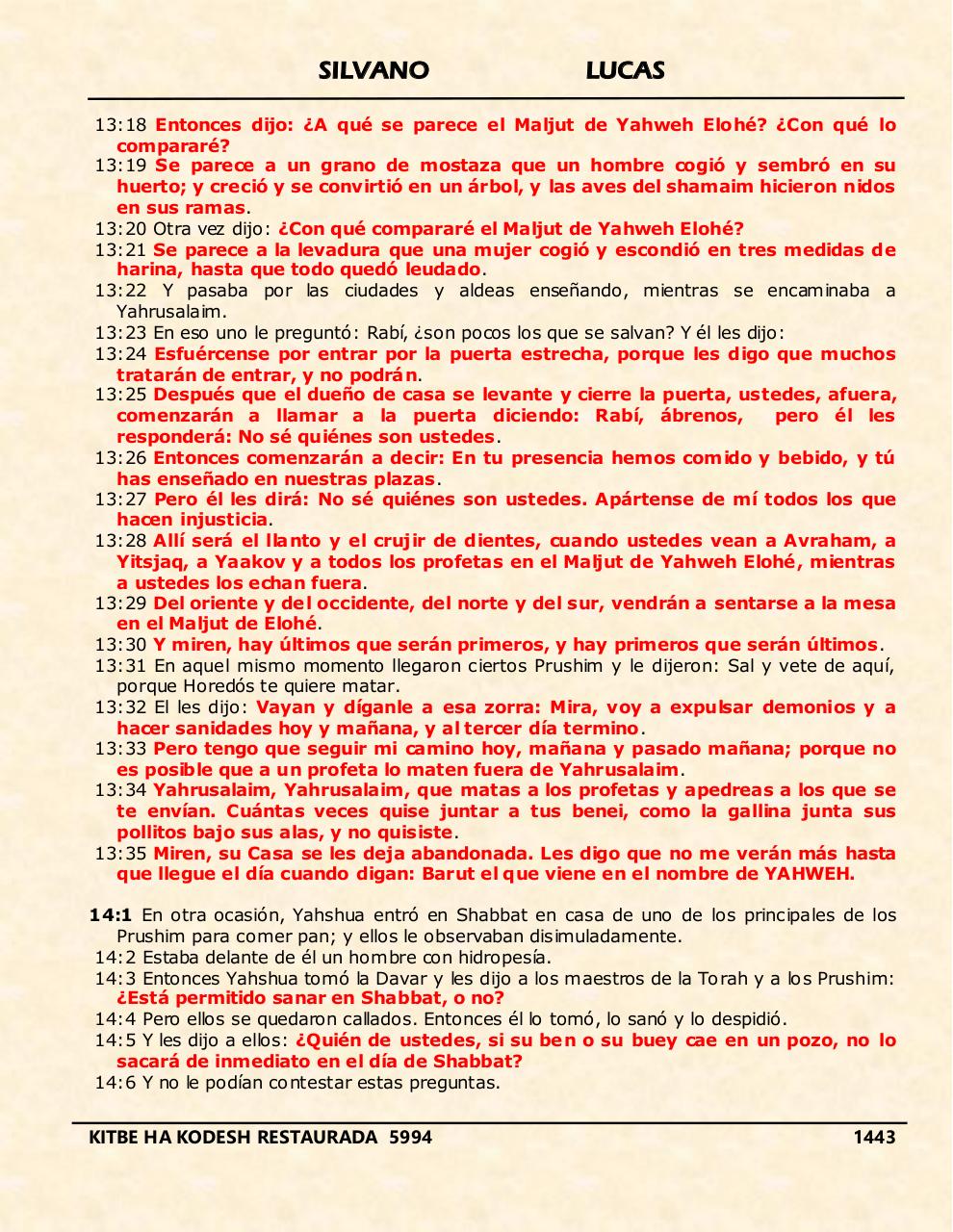 Vista previa del archivo PDF shilas.pdf