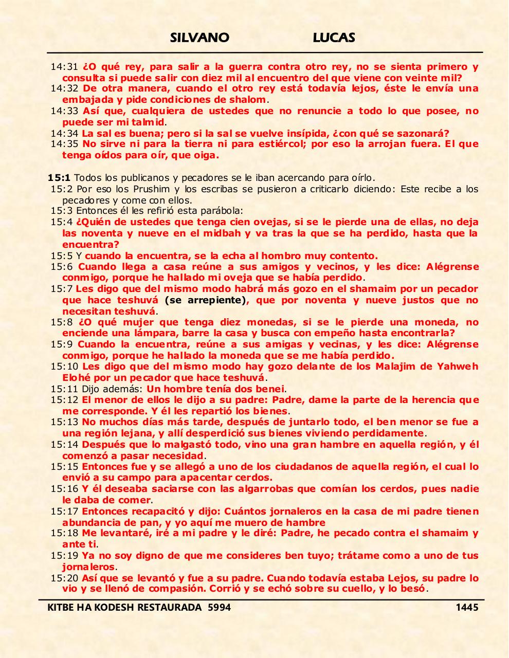 Vista previa del archivo PDF shilas.pdf