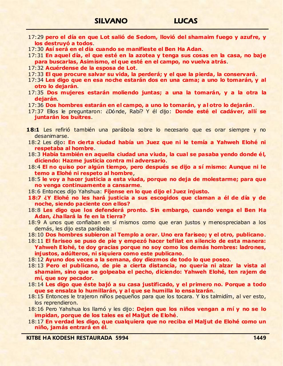 Vista previa del archivo PDF shilas.pdf