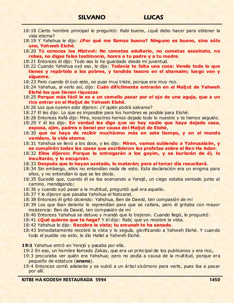 Vista previa del archivo PDF shilas.pdf