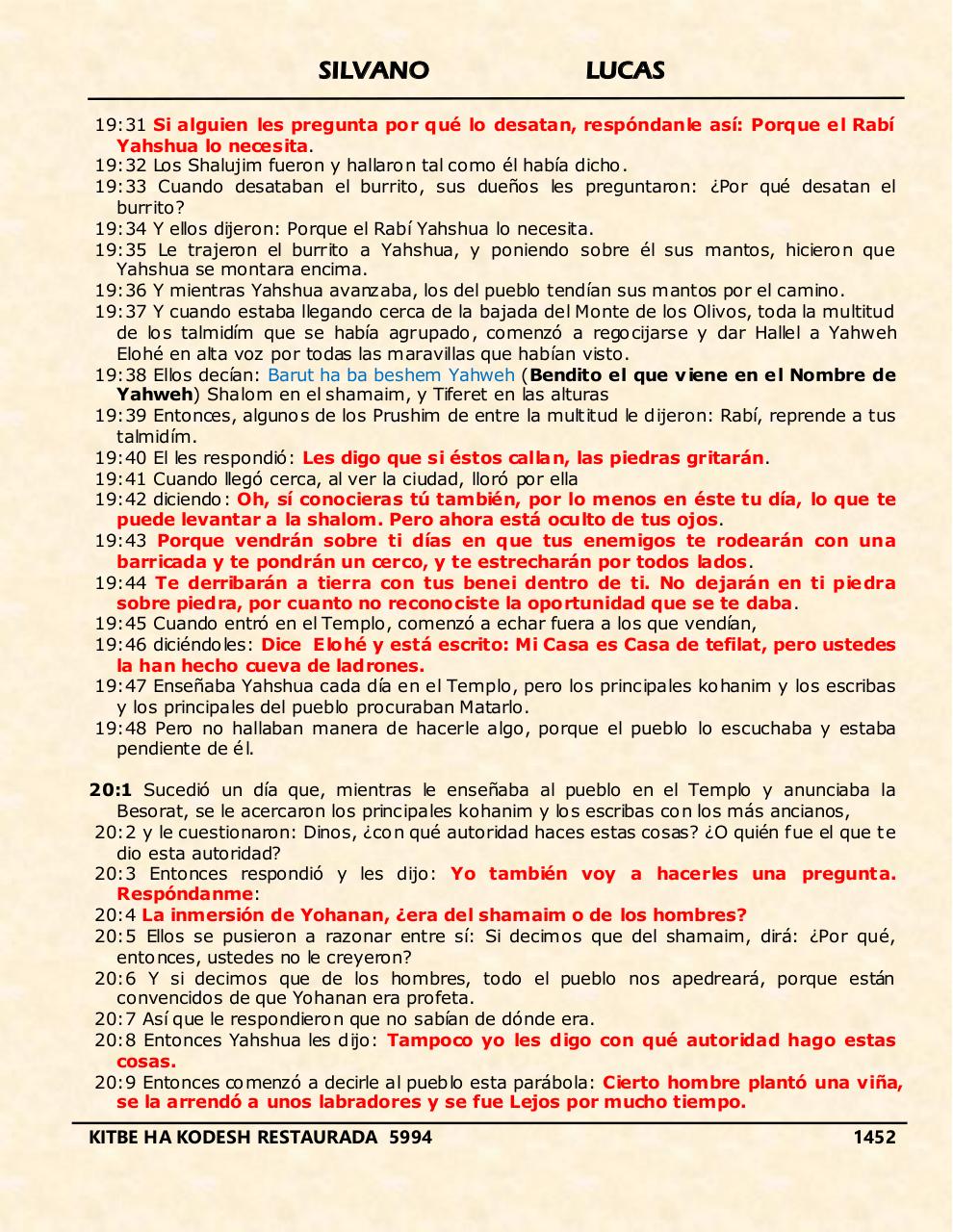 Vista previa del archivo PDF shilas.pdf