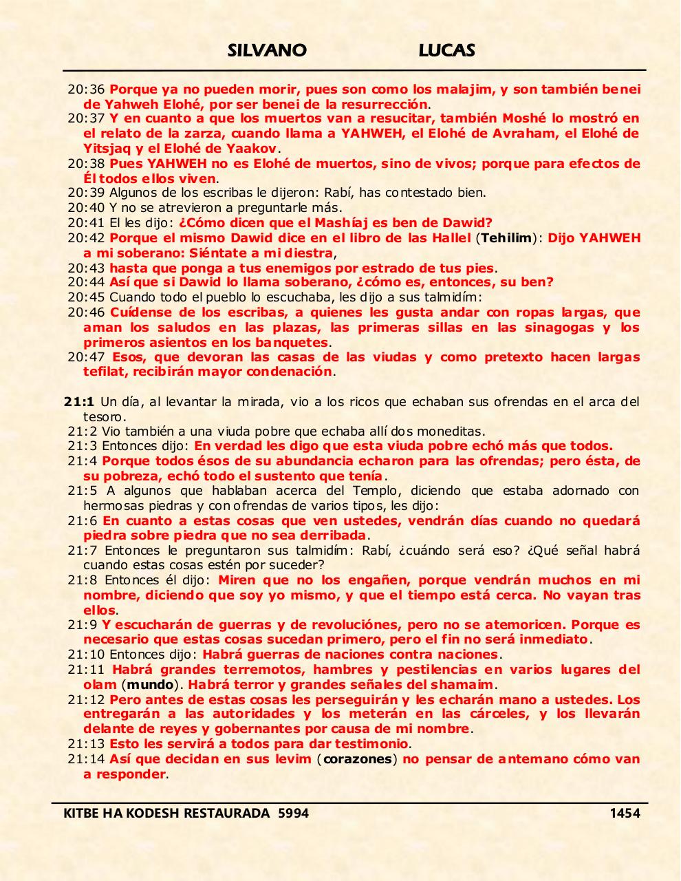 Vista previa del archivo PDF shilas.pdf
