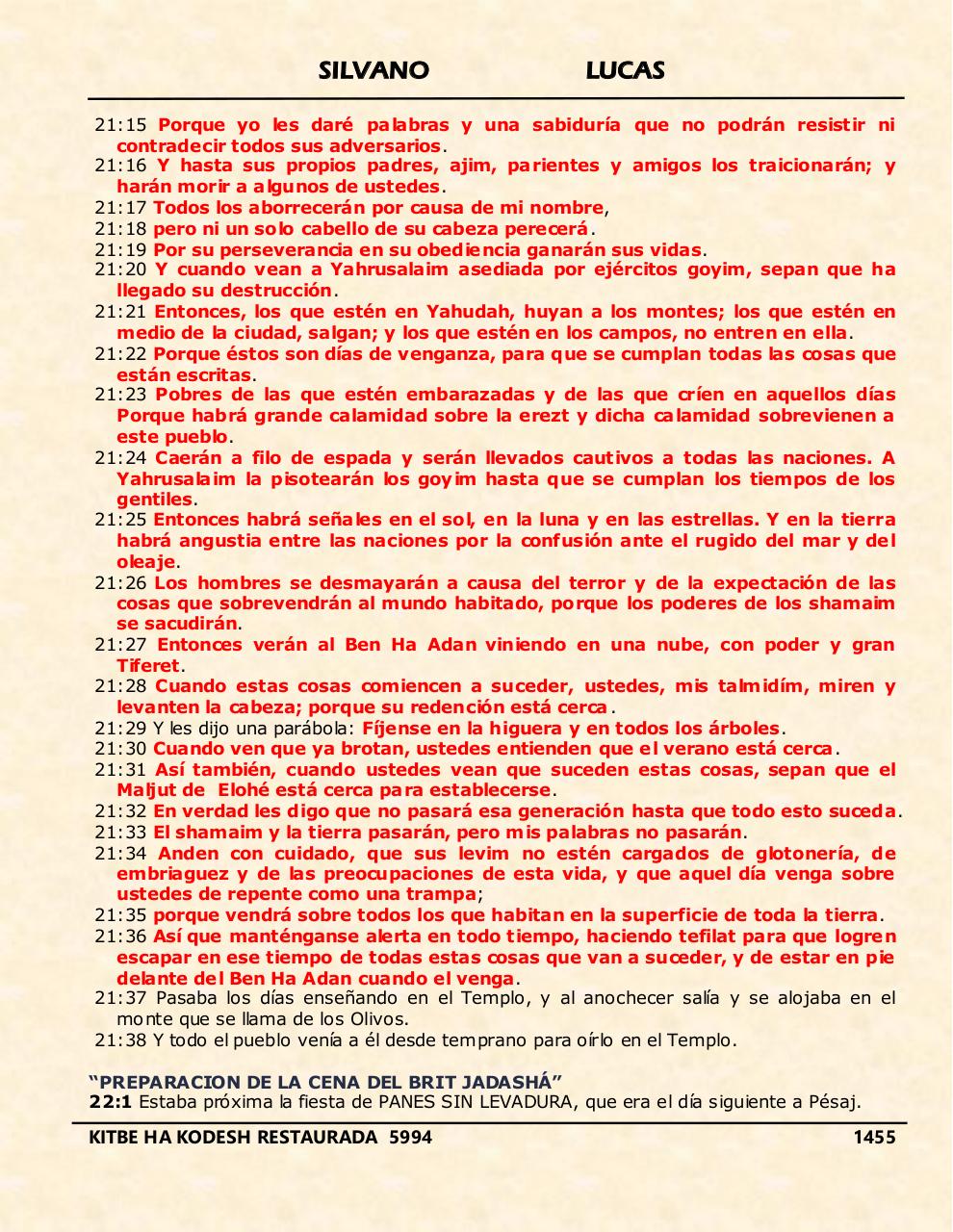 Vista previa del archivo PDF shilas.pdf