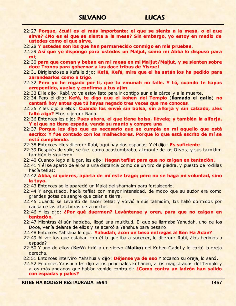 Vista previa del archivo PDF shilas.pdf