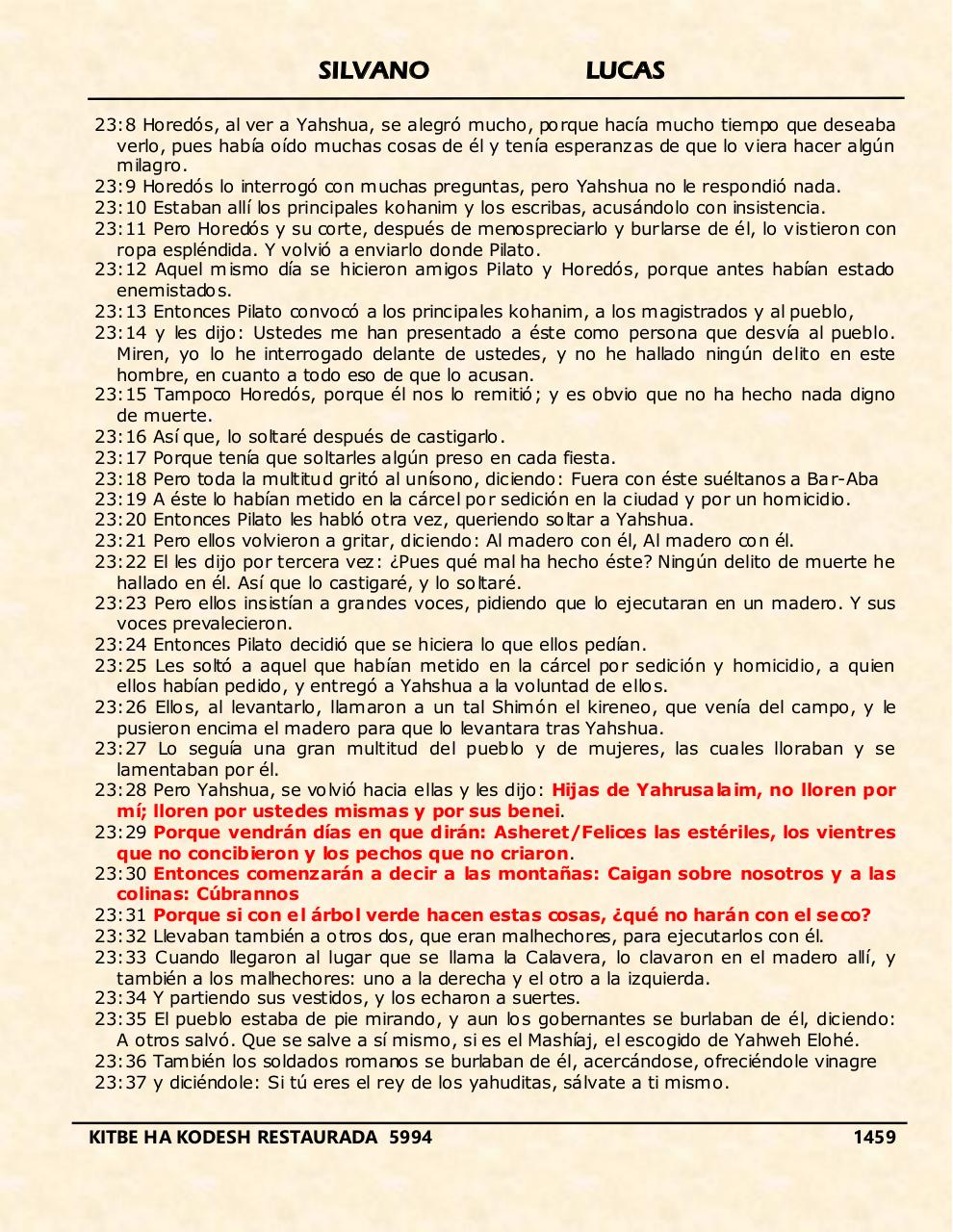 Vista previa del archivo PDF shilas.pdf